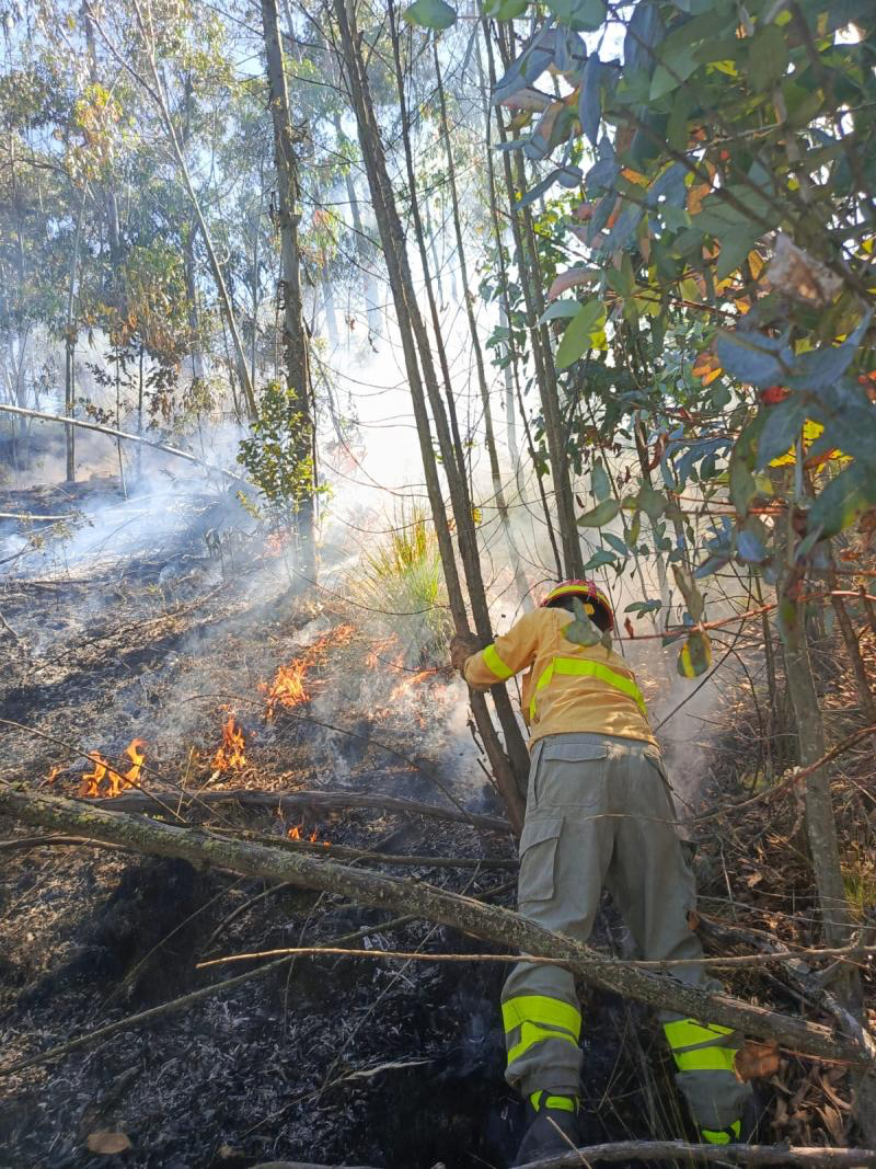 WhatsApp Image 2024 06 03 at 8.08.23 AM 1