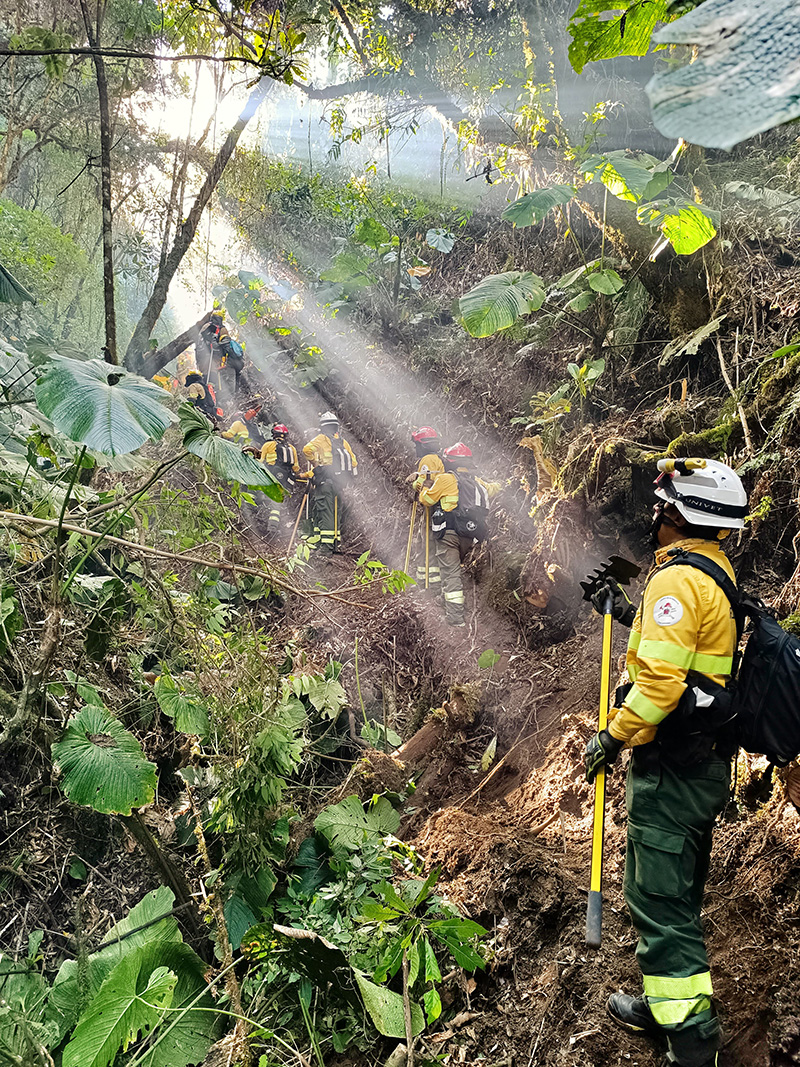 WhatsApp Image 2024 08 29 at 8.38.22 p. m